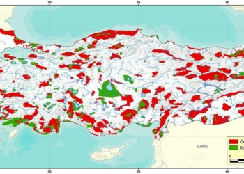 Atacağımız büyük adımlarla örnek olabiliriz
