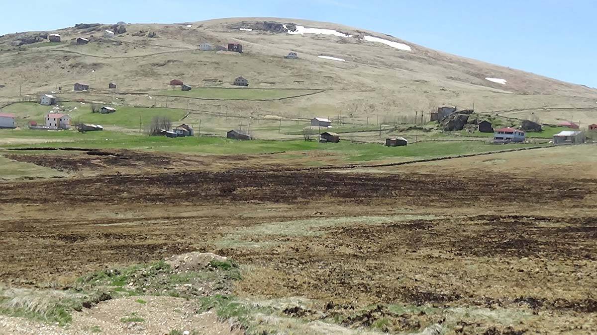 Turba Bataklığında kaçak yapılaşma