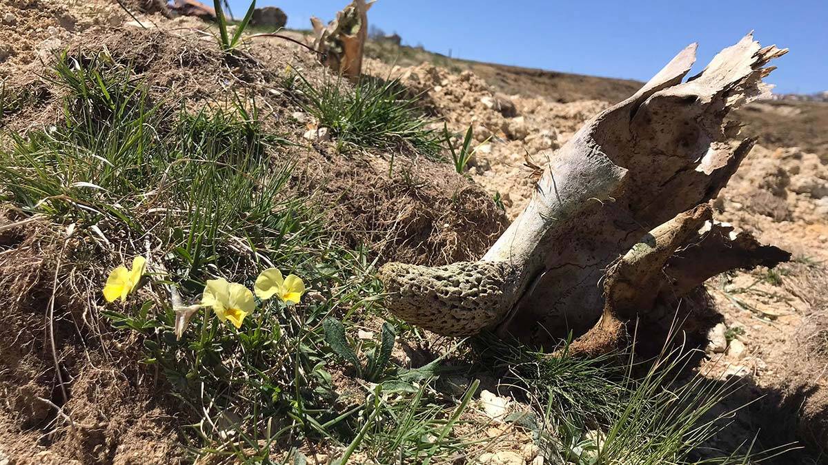 Turba Bataklığında kaçak yapılaşma