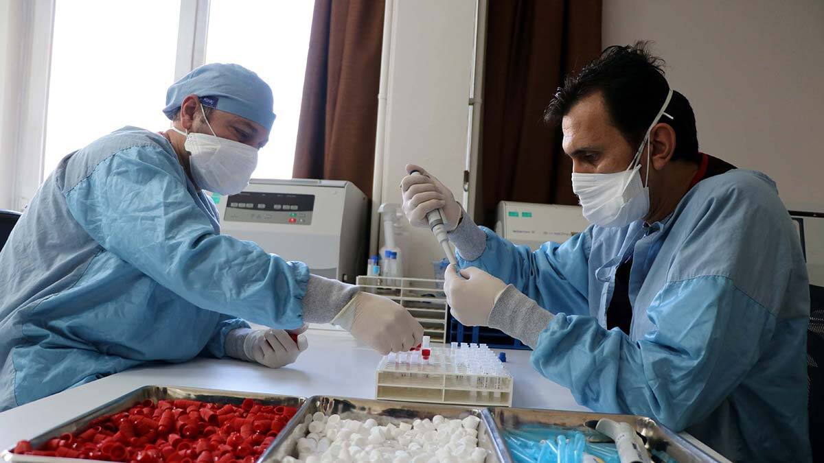 Plasebo yerine Sinovac kullanılacak