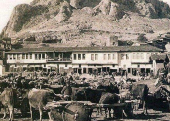 Sinmez Bir Sülalenin! Kamil Oğulların Evlatları!...