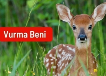 234 STK'dan vurma beni çağrısı