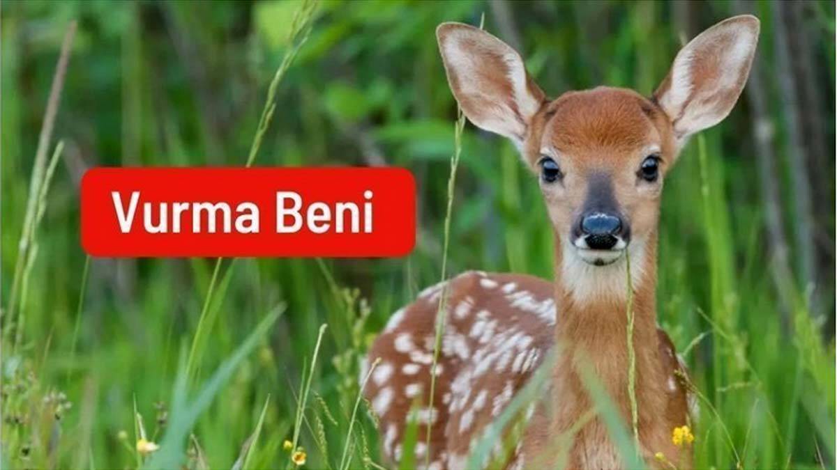 234 STK'dan vurma beni çağrısı