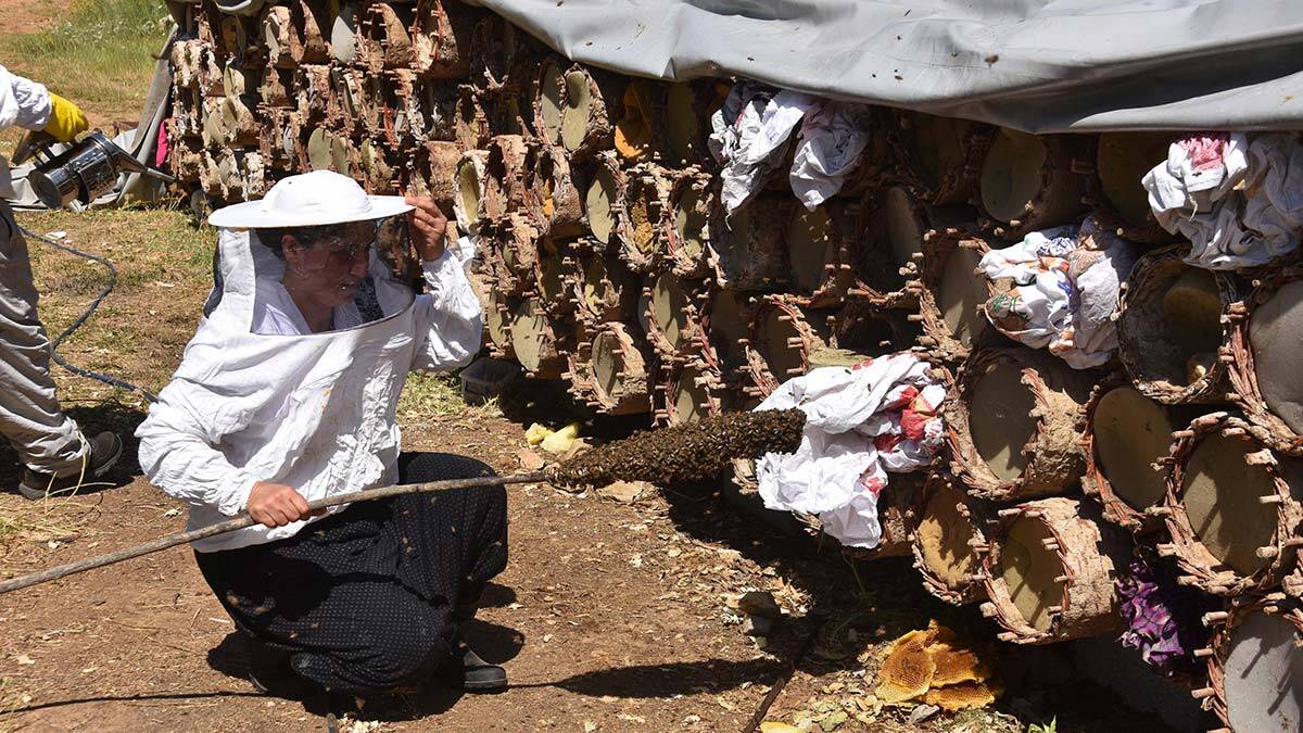 Arıcılık yaparak çocuklarını okutuyor