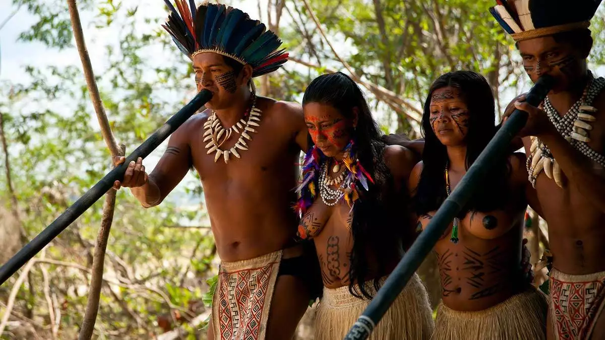 Amazon yerlilerinin beyinleri yüzde 70 daha sağlıklı