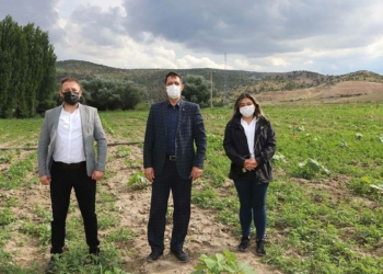 Ekilen tarlalarda ilk mahsuller alınmaya başlandı