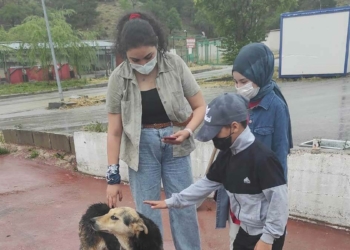 Çankaya Belediyesi Barınağı Mülteci Çocukları Konuk Etti