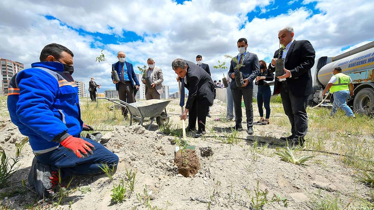 ASKİ'den Yeşilin Başkenti Projesine 5 bin 145 fidanla destek