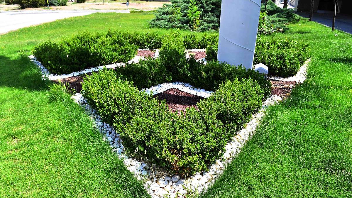 Başkentte kuru peyzaj çalışması