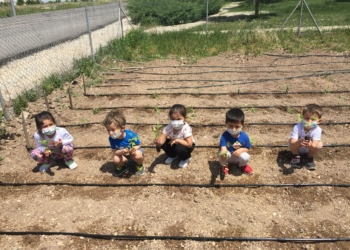 Es Çocuk Evi'nde tarımsal üretim eğitimi