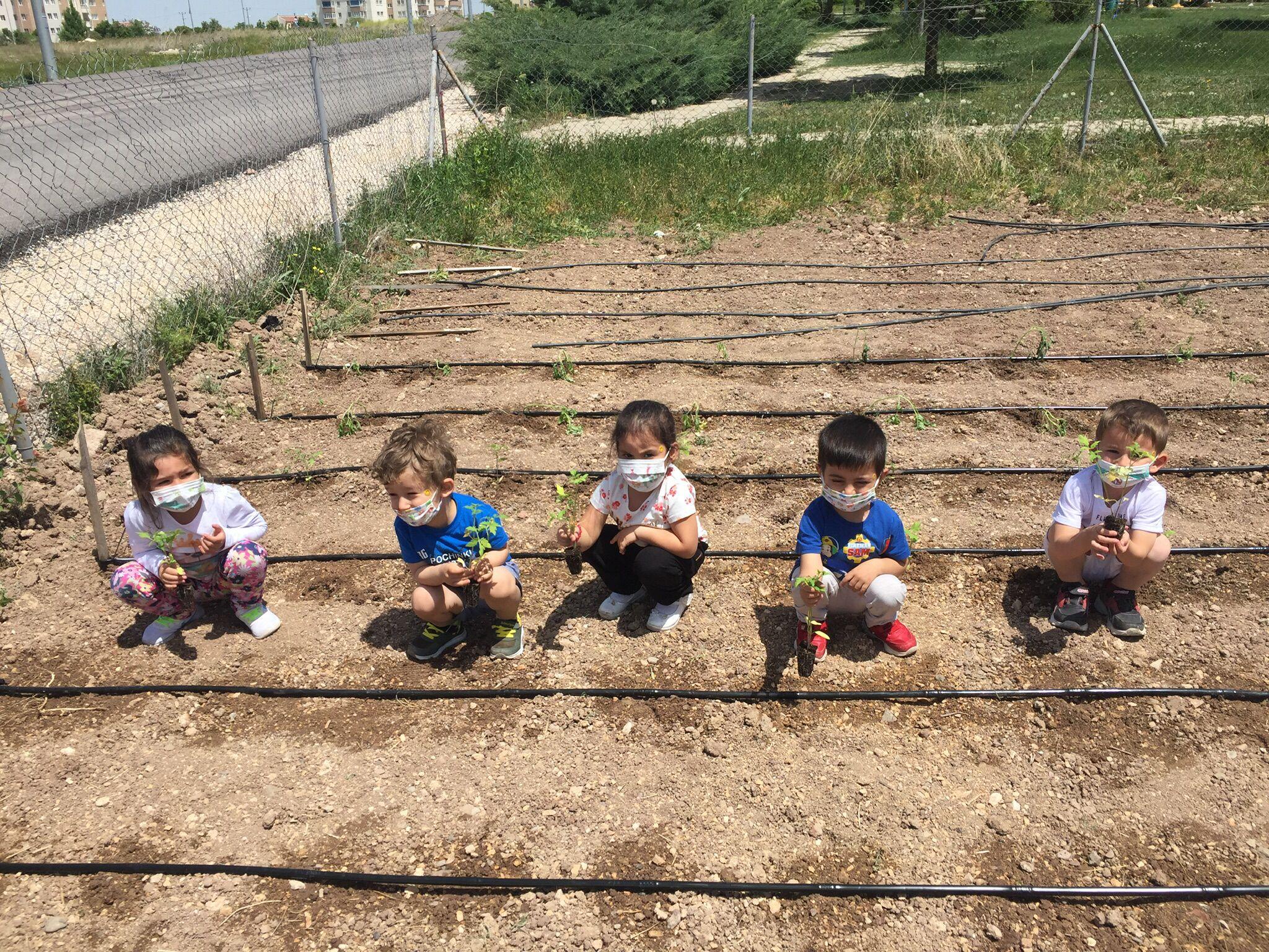 Es Çocuk Evi'nde tarımsal üretim eğitimi