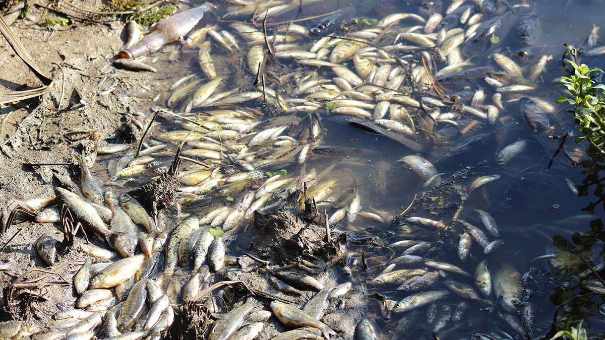 Akdeniz Marmara olmasın