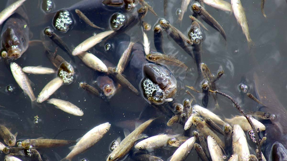 Akdeniz Marmara olmasın