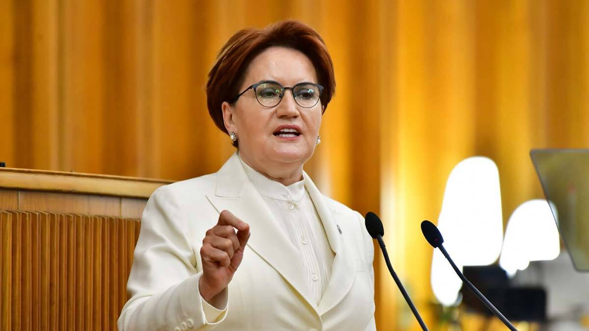 Türkkan'ın çiftliği üzerinden gagalanıyoruz