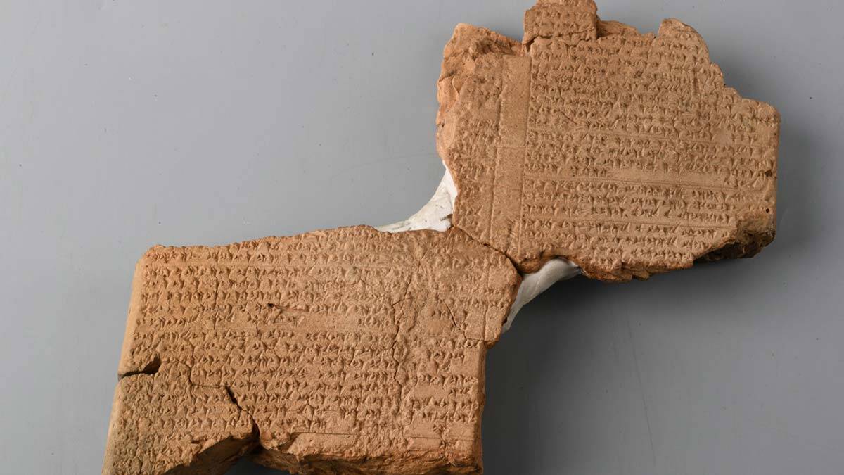 Anadolu'da salgının tarihi, sergide anlatılacak