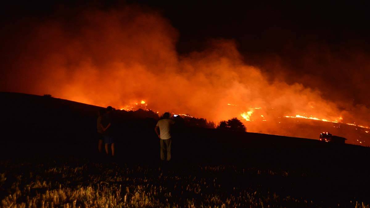 Anız yangını ağaçlık alana sıçradı