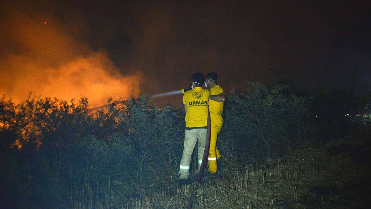 Anız yangını ağaçlık alana sıçradı
