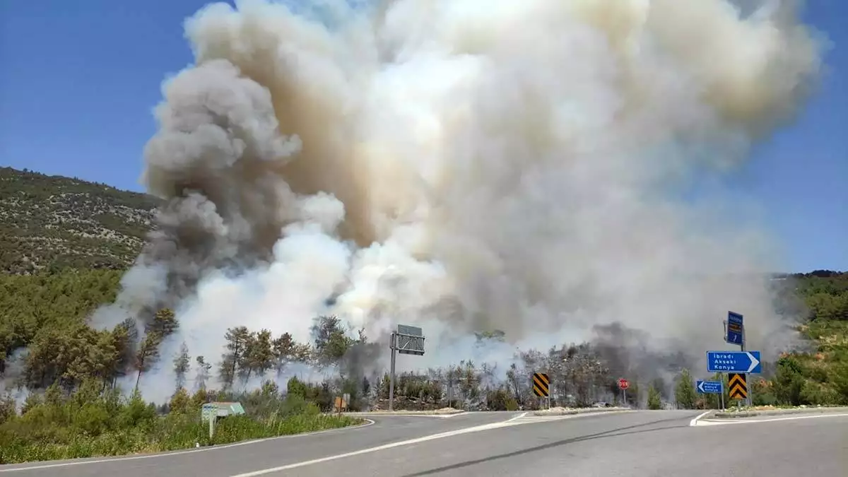 Antalya'da orman yangını; karayolu ulaşıma kapatıldı