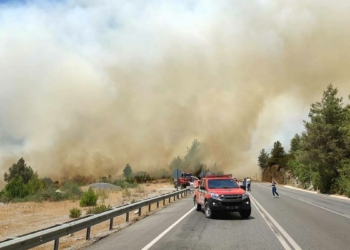 Antalya'da orman yangını; karayolu ulaşıma kapatıldı