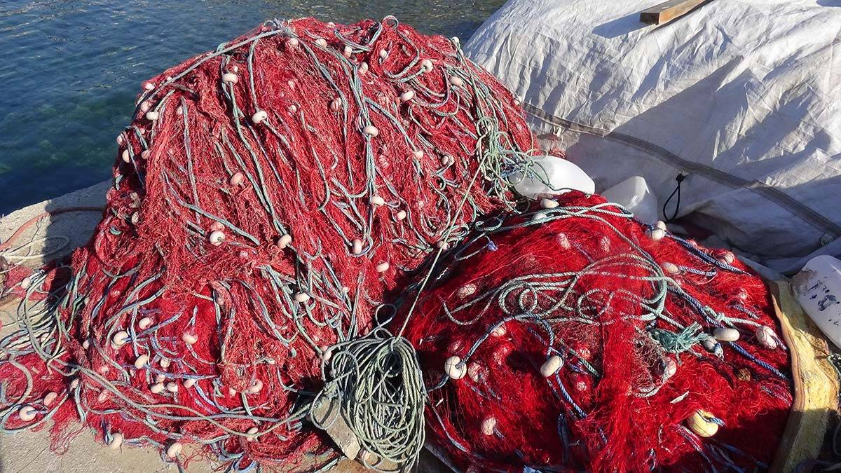 Ata Demirer'den müsilaj mesajı