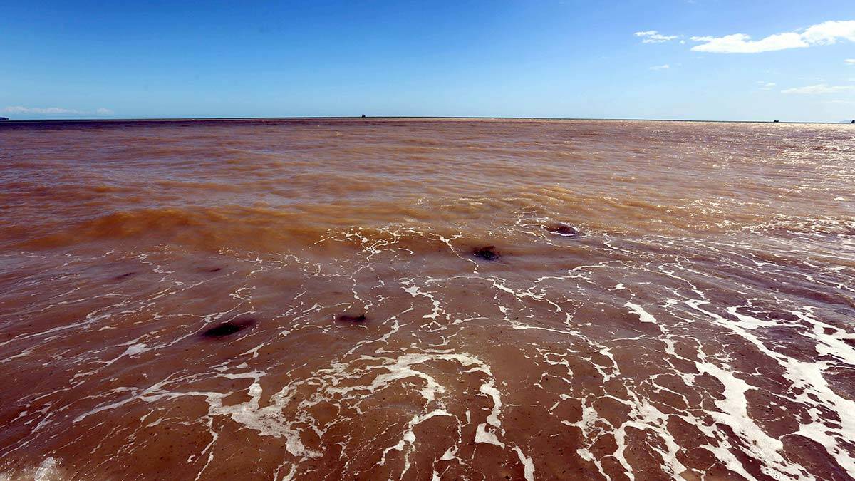 Betonlaşma doğanın filtrelerini yok etti