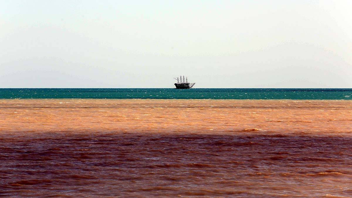 Betonlaşma doğanın filtrelerini yok etti