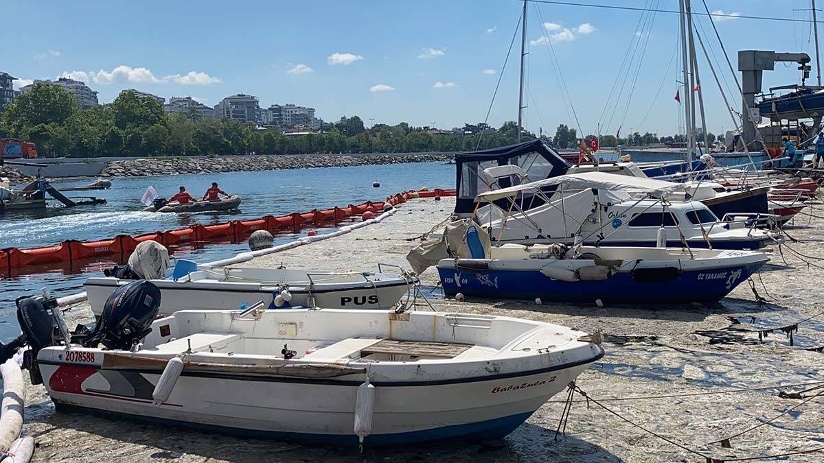 Caddebostan Sahili'nde salya temizliği devam ediyor