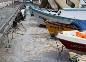 Çanakkale'de 198 metreküp müsilaj toplandı