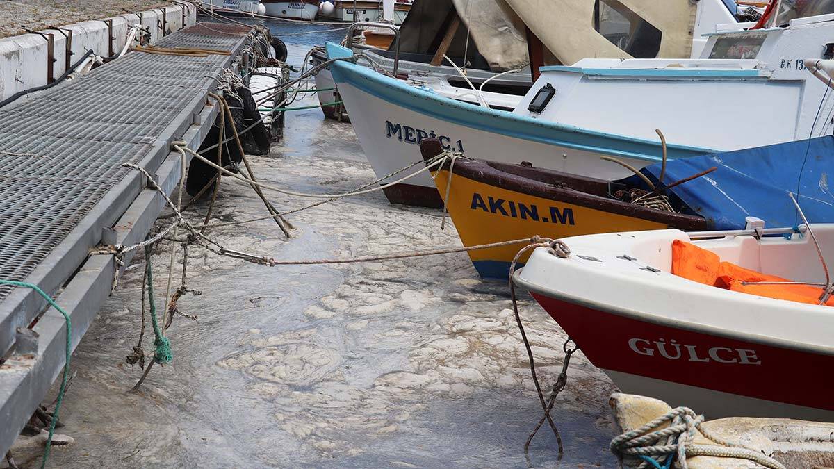 Çanakkale'de 198 metreküp müsilaj toplandı
