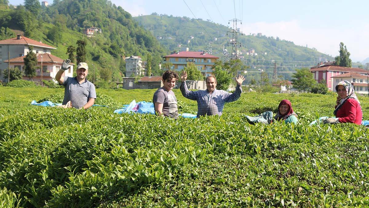 Çay göçü ile 40 bin kişi geldi