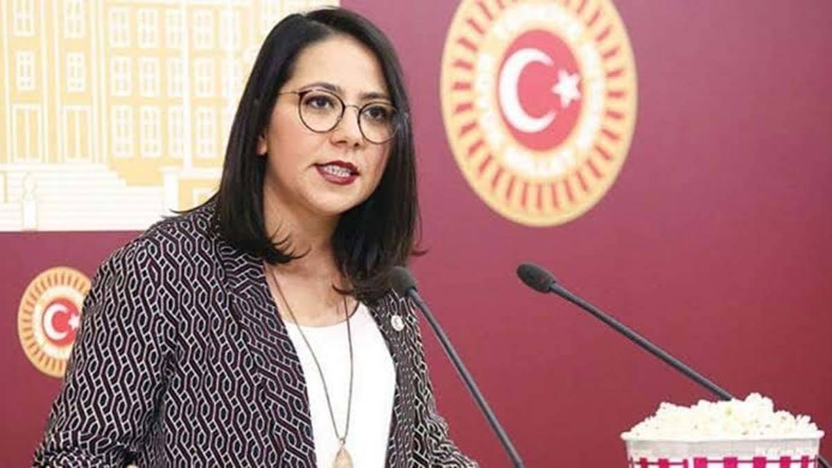 CHP'li Kadıgil partisinden istifa etti