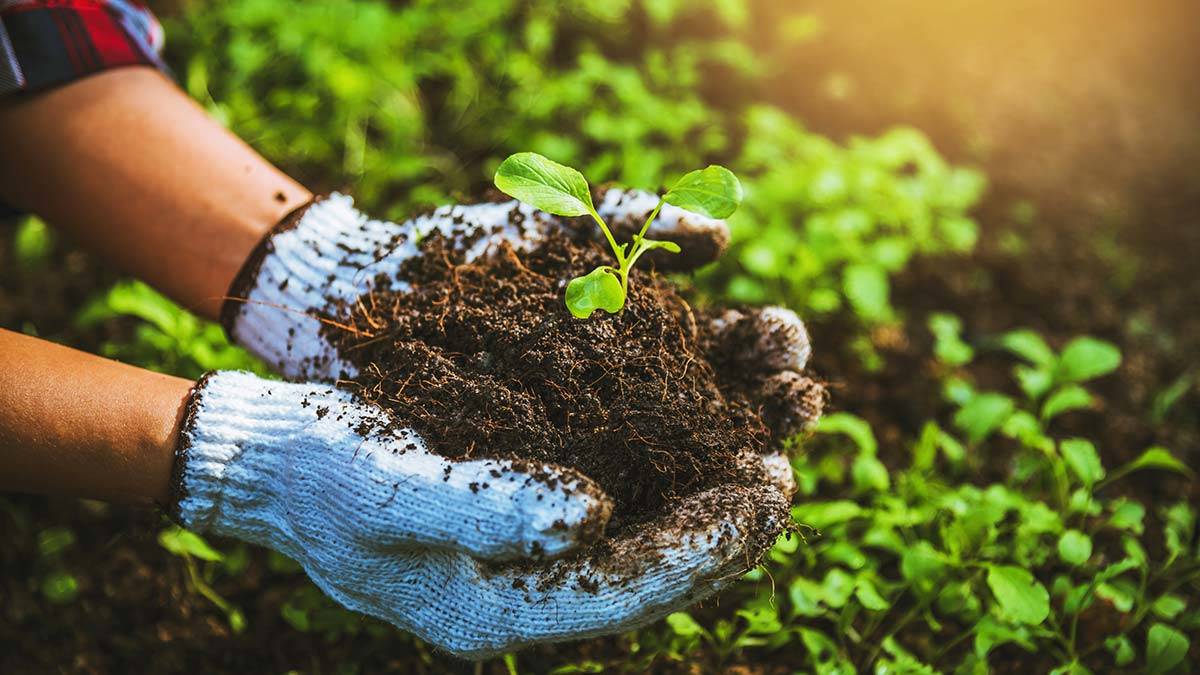 Çiftçilerin güven duygusu artacak