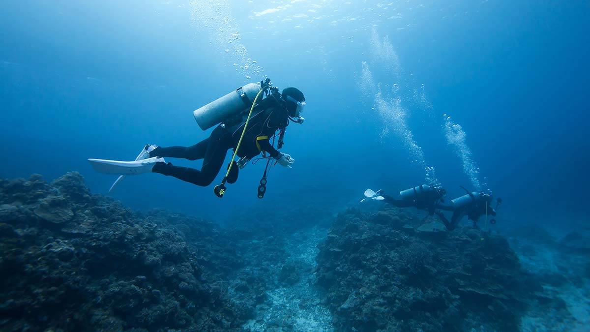 Dalış okulları 1 Temmuz'u bekliyor