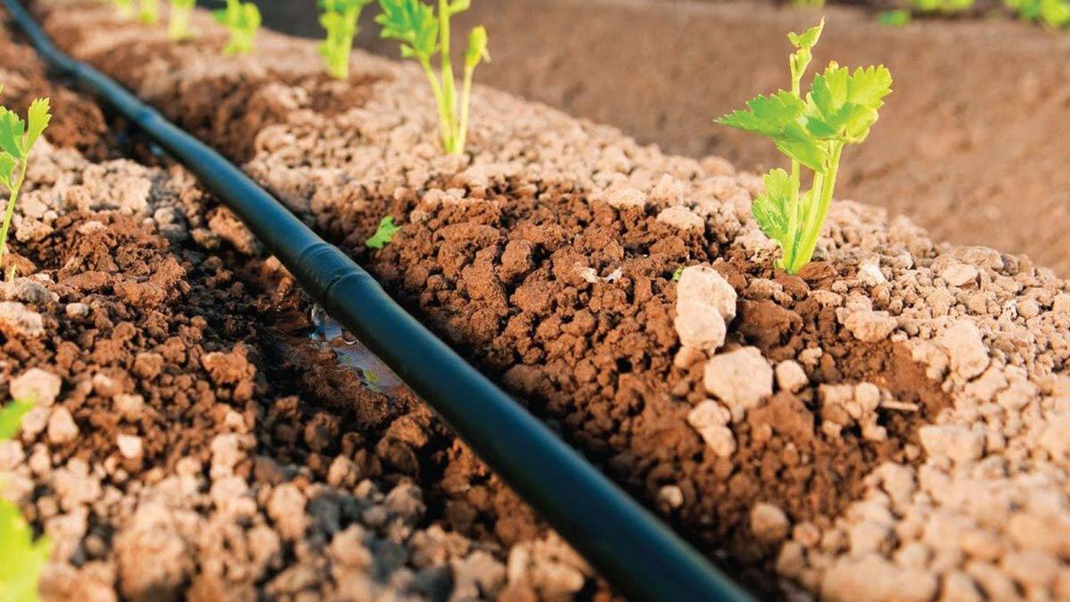 Bakan Pakdemirli, sulama verimliliğini artırmak için harekete geçtiklerini belirtti. Yapılacak çalışmalarla sulama sistemlerinin modernizasyonuna hız verileceğini kaydeden Pakdemirli, vahşi sulamanın da önüne geçileceğini söyledi.