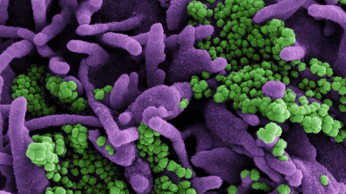 Delta varyantına karşı uyarı