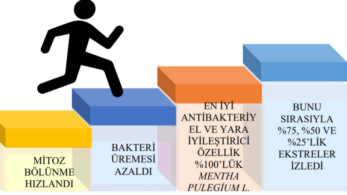 Diyarbakırlı öğrencilere uluslararası yarışmadan ödül, GYSTB liseler arası proje yarışmasında iki proje ile 'Dünya İkinciliği' ve 'Jüri Özel Ödülü' almaya hak kazandı.