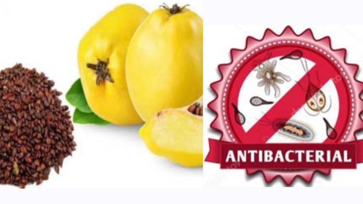 Diyarbakırlı öğrencilere uluslararası yarışmadan ödül