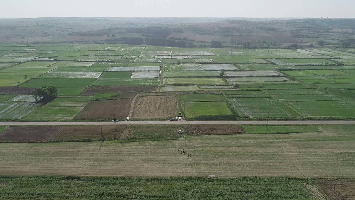 Çeltik üretiminde damla sulama yöntemi