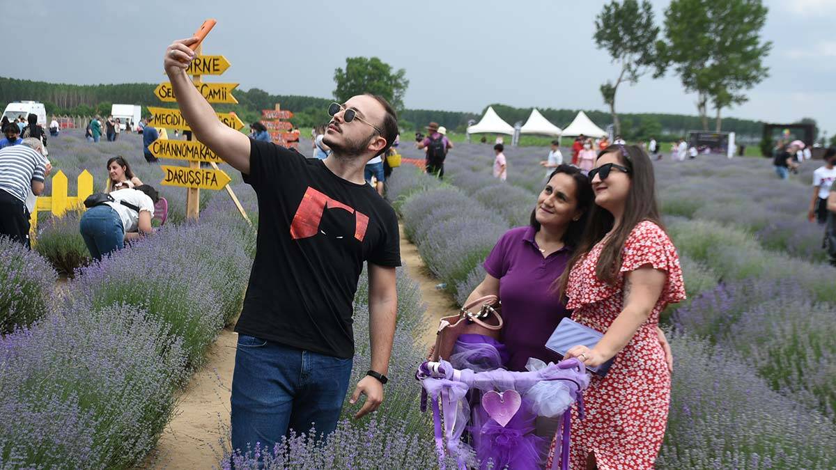 Trakya'da üretimi her geçen yıl artan, rengi ve kokusuyla alternatif tarımın gözdesi olan lavantada, mor tarlalarda hasat mevsimi başladı.