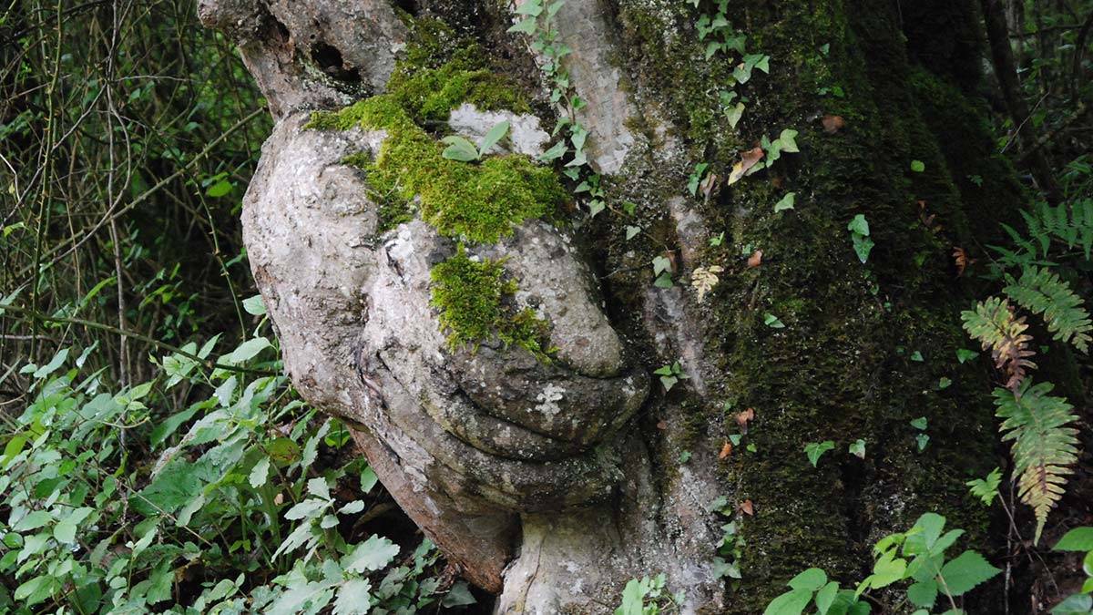 El figürlü ağaç koruma altında