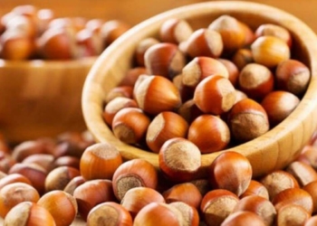 1 kilo fındığın maliyeti 22 lira 85 kuruş