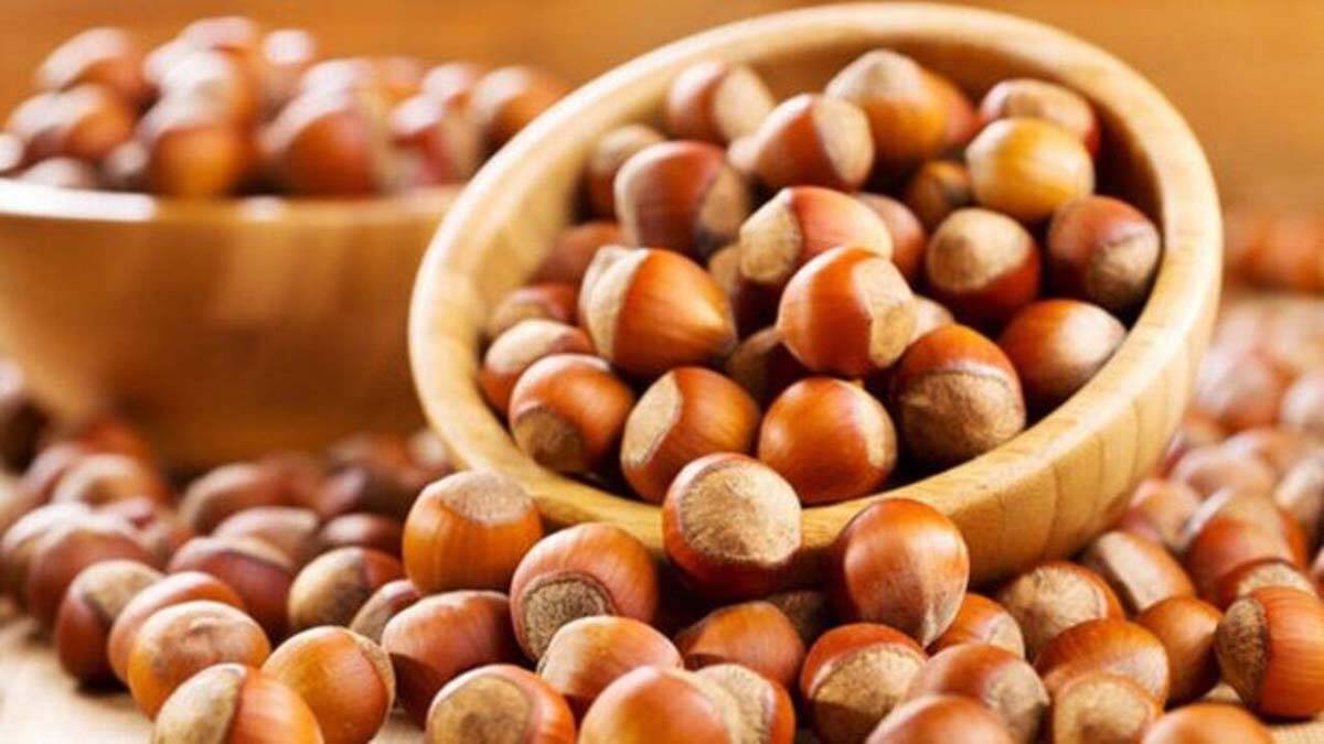 1 kilo fındığın maliyeti 22 lira 85 kuruş