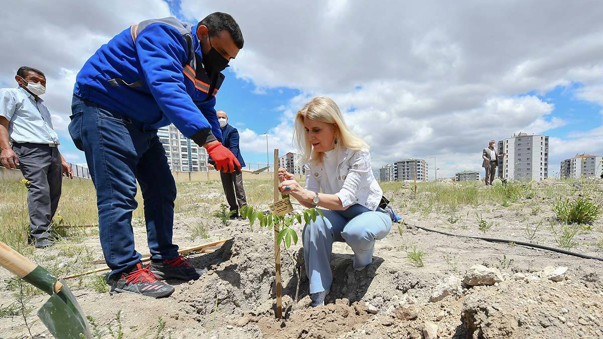 ASKİ'den Yeşilin Başkenti Projesine 5 bin 145 fidanla destek