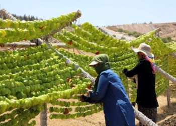 Kurutulmuş sebze sezonu başladı