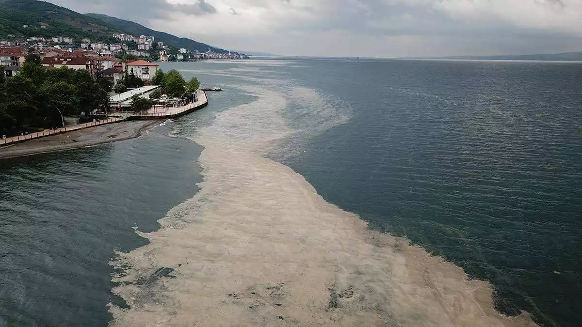 Gebze teknik üniversitesi'nden marmara denizi'nde görülen müsilaj için çevresel koşul araştırma çalışması başlattı.