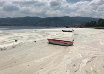 Müsilaj için çevresel koşul araştırması