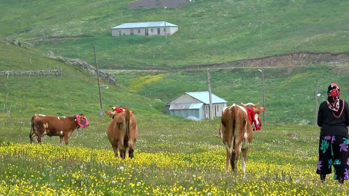 Köy ve yaylalara göç edenlere uyarı