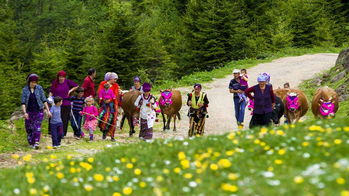 Köy ve yaylalara göç edenlere uyarı