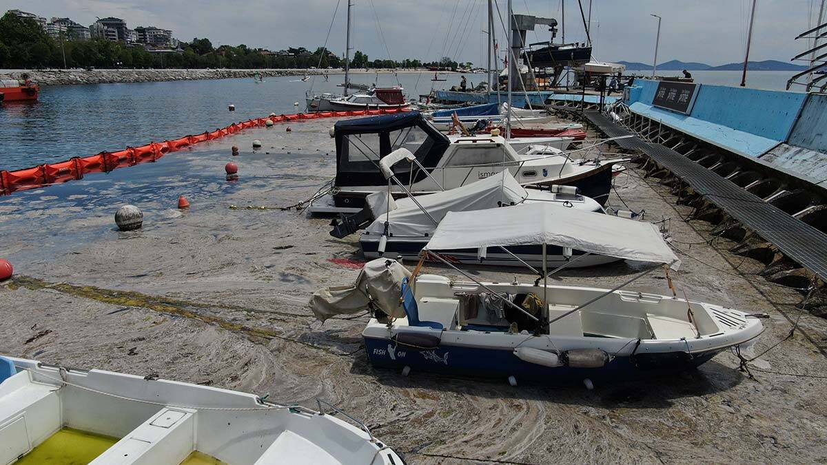 Müsilaj temizleme seferberliği öncesi hazırlıklar tamamlandı