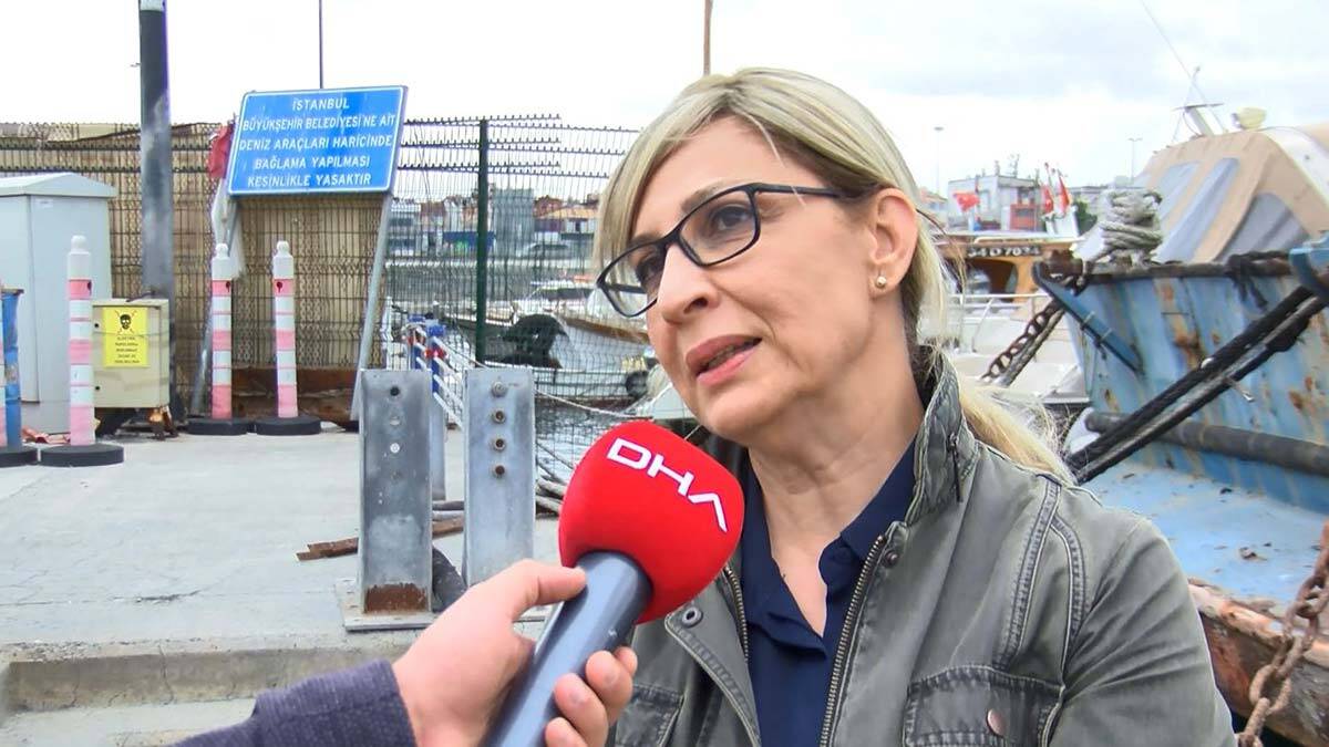 İstanbul Üniversitesi, müsilajı deniz bakterisiyle temizledi